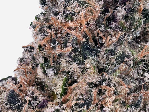 Amnesia Dream Delta-9 THC gros plan buds résineux, trichomes visibles, fleur cannabis légal Californie, alternative THC effets puissants euphorisants