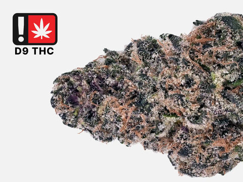 Amnesia Dream | D9 THC - HighCandy