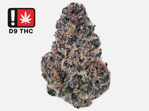 Amnesia Dream Delta-9 THC fleur premium Californie, alternative THC légal France, buds denses résineux, effets puissants euphorisants, riche terpènes