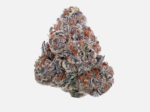 Fleur CBD Bubble Gum – buds violet-noir denses aux pistils roux, import Californie – High420.fr
