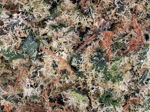 Bubble Gum | CBD - HighCandy