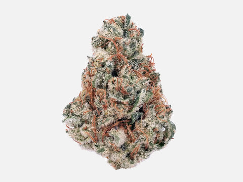 Fleur CBD Mango Kush – bud dense vert profond aux trichomes généreux, import Amsterdam – High420.fr