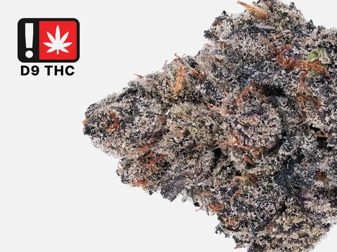 Orange Push | D9 THC - HighCandy