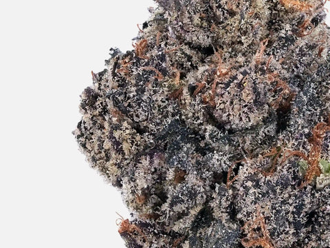 Orange Push | D9 THC - HighCandy