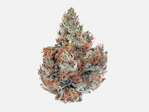 Fleur CBD Orangello – bud pyramidale aux pistils roux orangés, import Californie – High420.fr