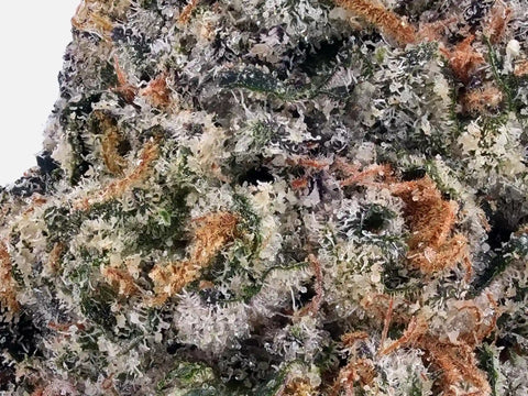 Royal OG Kush Delta-9 THC gros plan buds résineux, trichomes visibles, fleur premium Californie, alternative THC légal effets puissants