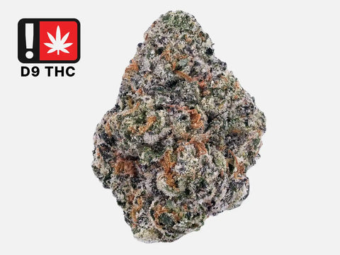 Royal OG Kush Delta-9 THC fleur premium Californie, alternative THC légal France, buds denses résineux, effets puissants euphorisants, riche en terpènes