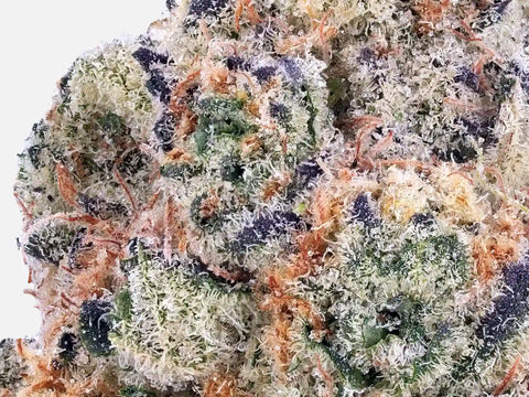 Gros plan trichomes Sour Diesel THCa – détail bud résineuse, qualité premium – High420.fr
