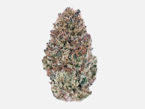 Fleur CBD Tropical Cherry – bud massive et givrée de trichomes, import Californie – High420.fr