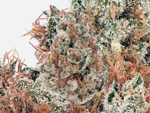 Tropical Cherry | CBD - HighCandy